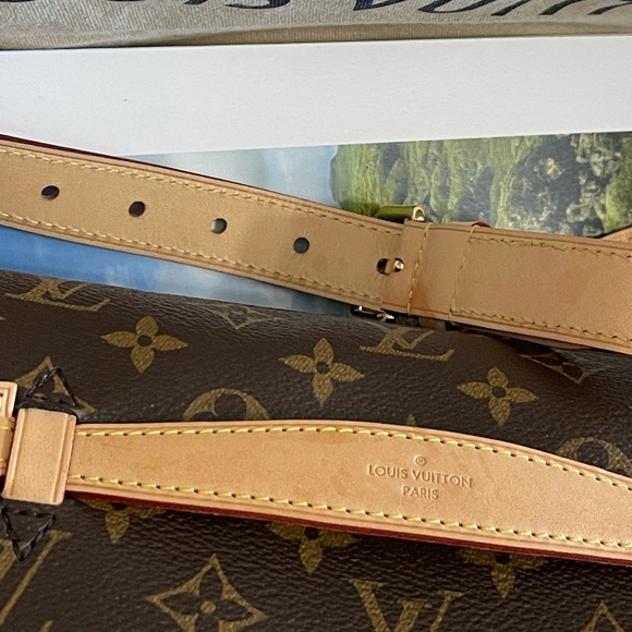 New 😻🔥Louis Vuitton bumbag - Picture 4 of 15